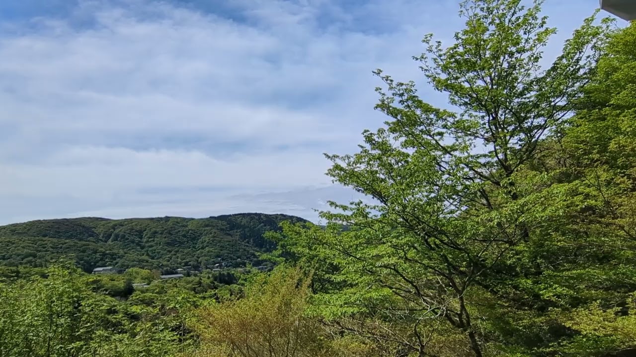箱根蔵樹チャンネル